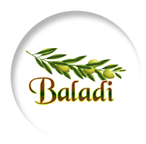 baladi logo